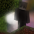 vxqlr